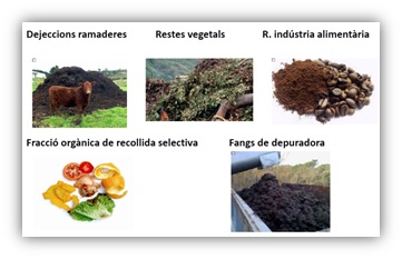 Procedència i procés