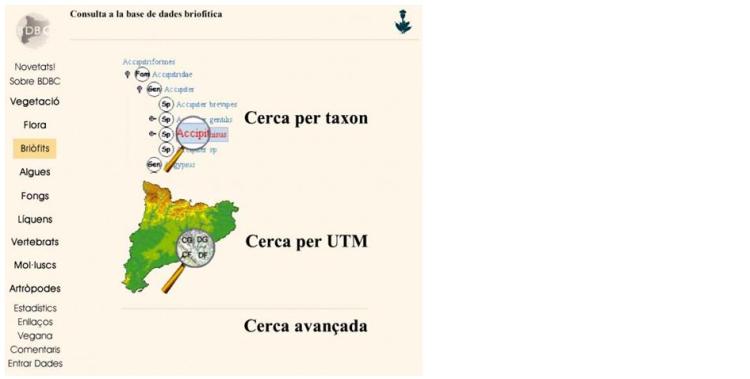 Consulta a la base de dades briofitica