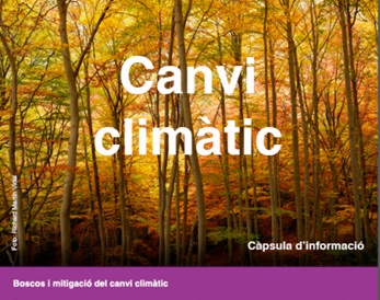 boscos i mitigació del canvi climàtic