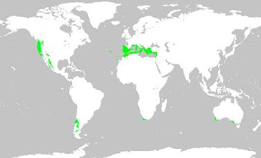 Distribució del clima mediterrani