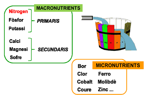 Macronutrients/micronutrients