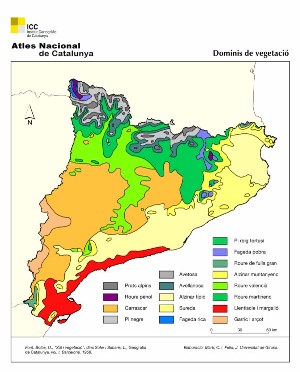 Mapa de distribució dels boscos a Catalunya