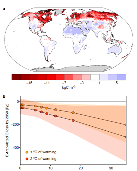 Extrapolació espacial de la vulnerabilitat a la temperatura de les existències de C del sòl: a. un mapa dels canvis previstos en les existències de C del sòl per píxel per al 2050 sota l'escenari "en absència d'aclimatació '. b. reduccions totals en la reserva mundial de C en l’escenari d’ 1 ° C i 2 ° C l'escalfament superficial del sòl de mitjana global en el 2050.
