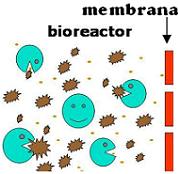 Membrane bioreactor