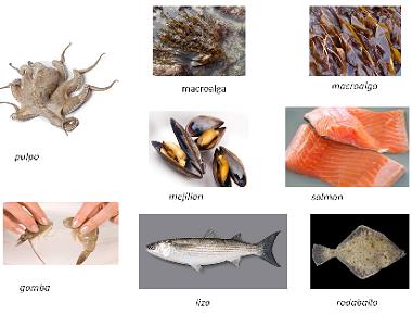 Algunes de les espècies analitzades
