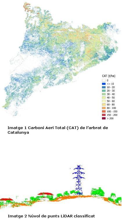 Imatge 1 Carboni Aeri Total (CAT) de l’arbrat de Catalunya