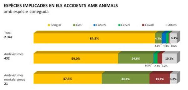 Draft Garcia 741567426-DGC Sinistralitat ungulats-DGC Sinistralitat ungulats 02.jpg
