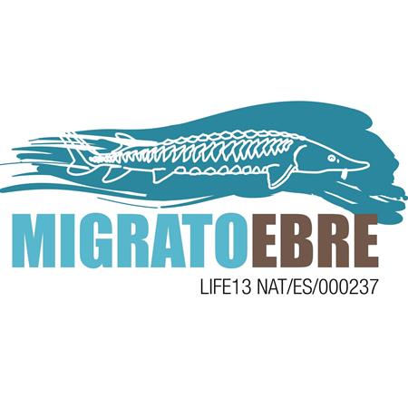 IDECE_MIGRATOEBRE_2017