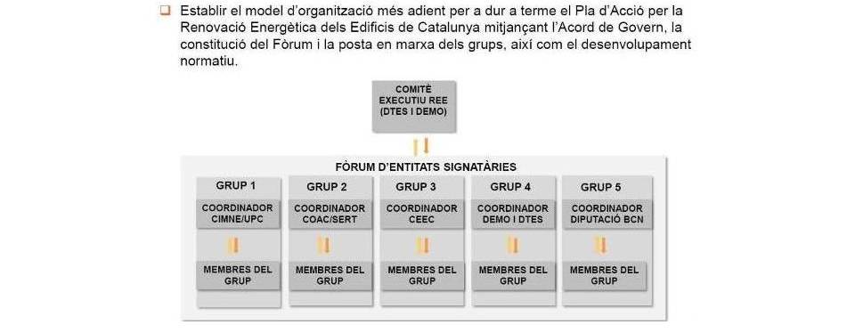 Model organitzatiu