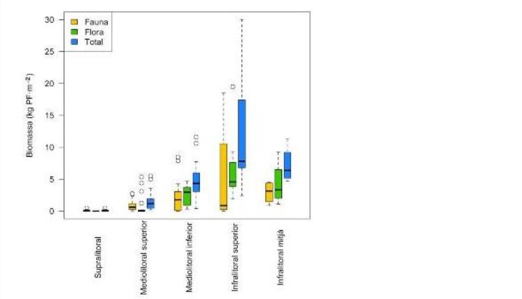 Transsectes de biomassa representats en un gràfic de caixes i bigotis. Els diferents horitzons mesurats s’han agrupat segons el subestatge al qual pertanyen (eix de les X). La biomassa s’expressa en kilograms de pes fresc (PF) per metre quadrat.