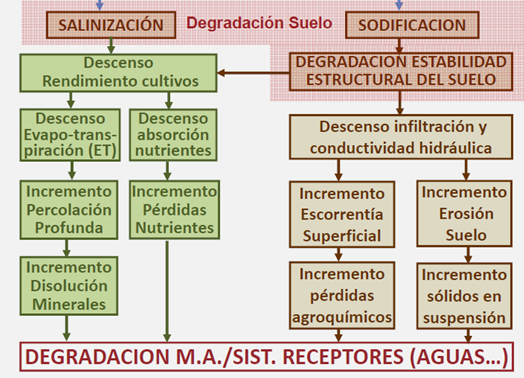 Draft Garcia 135504816-El-paper-dels-sols-en-la-conser-Nature Imatge5.png