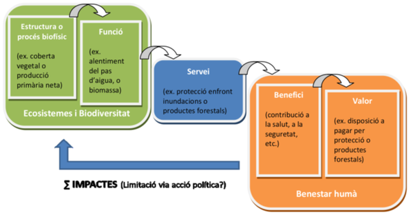 Draft Echave-Sustaeta 741875736-image1.png